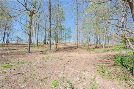 Offering #1 - Building Lot for Sale in Riner VA - image 24