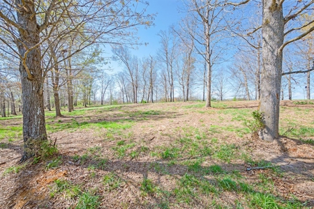 Offering #1 - Building Lot for Sale in Riner VA - image 18
