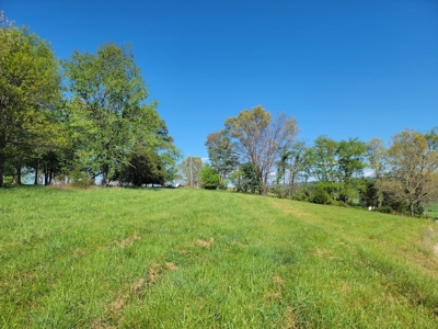 Offering #1 - Building Lot for Sale in Riner VA - image 31
