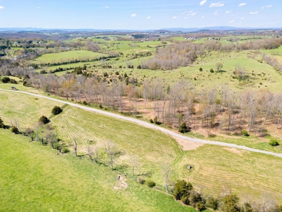 Offering #1 - Building Lot for Sale in Riner VA - image 10