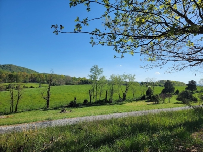 Offering #2 - Land for Sale in Riner VA - image 29