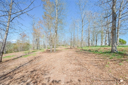 Offering #2 - Land for Sale in Riner VA - image 14