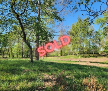 Offering #2 - Land for Sale in Riner VA - image 31