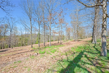 Offering #2 - Land for Sale in Riner VA - image 15