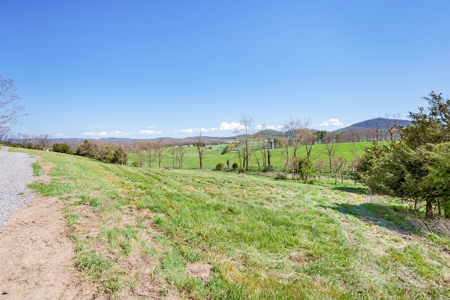 Offering #2 - Land for Sale in Riner VA - image 16