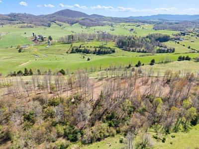 Offering #2 - Land for Sale in Riner VA - image 5