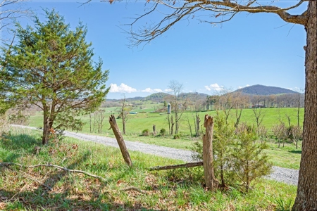 Offering #2 - Land for Sale in Riner VA - image 12