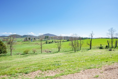 Offering #2 - Land for Sale in Riner VA - image 9