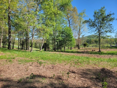 Offering #2 - Land for Sale in Riner VA - image 26