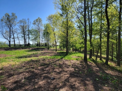 Offering #2 - Land for Sale in Riner VA - image 25