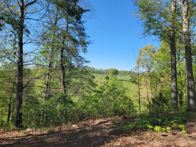 Offering #2 - Land for Sale in Riner VA - image 24
