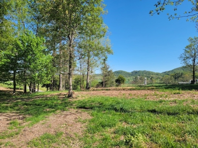 Offering #2 - Land for Sale in Riner VA - image 27