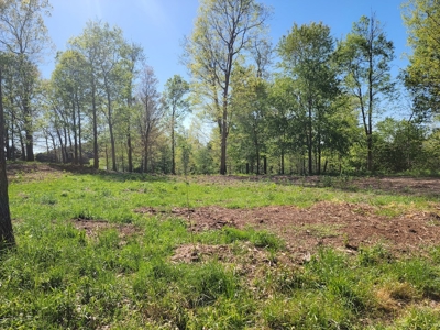 Offering #2 - Land for Sale in Riner VA - image 23