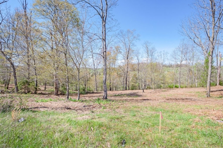 Offering #2 - Land for Sale in Riner VA - image 18
