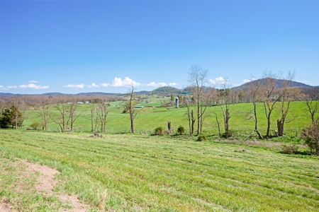 Offering #2 - Land for Sale in Riner VA - image 11
