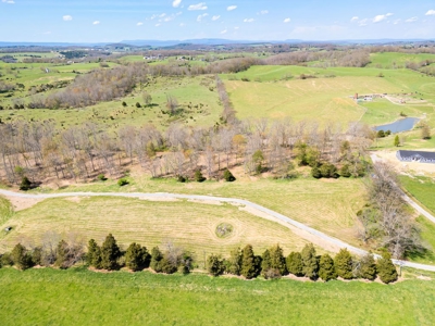 Offering #2 - Land for Sale in Riner VA - image 2