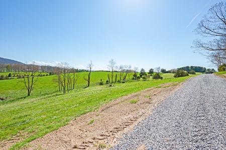 Offering #2 - Land for Sale in Riner VA - image 10