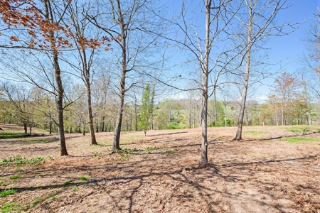 Offering #2 - Land for Sale in Riner VA - image 13