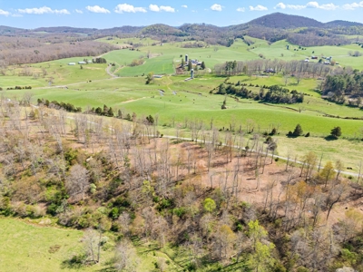 Offering #2 - Land for Sale in Riner VA - image 6