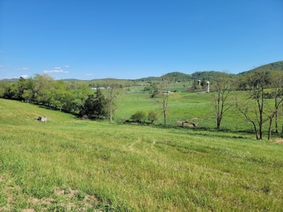 Offering #2 - Land for Sale in Riner VA - image 20