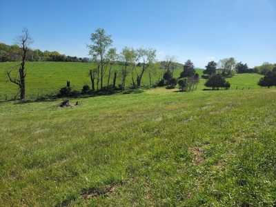 Offering #2 - Land for Sale in Riner VA - image 19