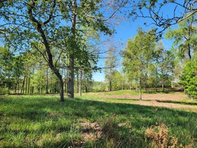 Offering #2 - Land for Sale in Riner VA - image 30