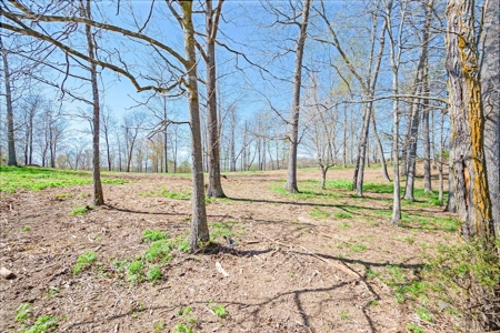 Offering #2 - Land for Sale in Riner VA - image 8