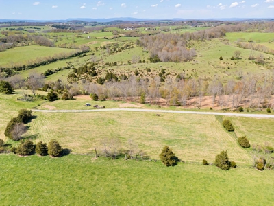 Offering #3 - Land for Sale Near I-81 - image 12