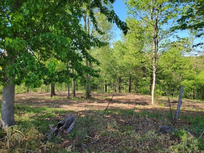 Offering #3 - Land for Sale Near I-81 - image 17