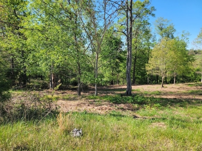 Offering #3 - Land for Sale Near I-81 - image 16