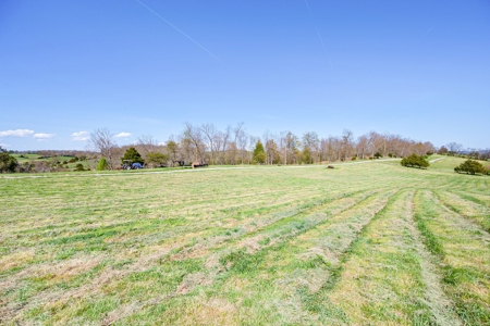 Offering #3 - Land for Sale Near I-81 - image 10