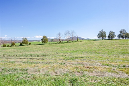 Offering #3 - Land for Sale Near I-81 - image 8