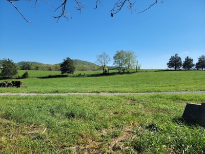 Offering #3 - Land for Sale Near I-81 - image 19