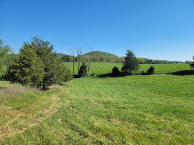 Offering #3 - Land for Sale Near I-81 - image 15