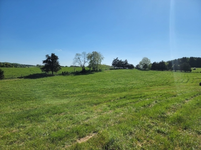 Offering #3 - Land for Sale Near I-81 - image 14