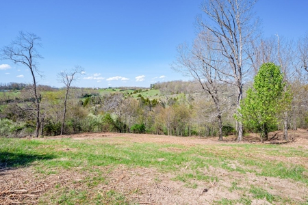 Offering #3 - Land for Sale Near I-81 - image 9
