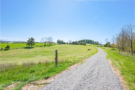 Offering #3 - Land for Sale Near I-81 - image 7