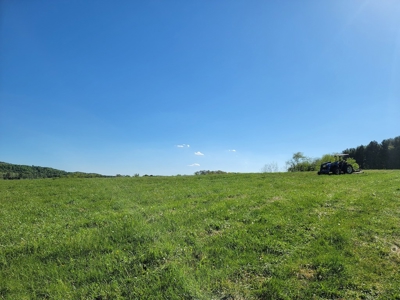 Offering # 4 -  Riner VA Building Lot for Sale at Auction - image 23