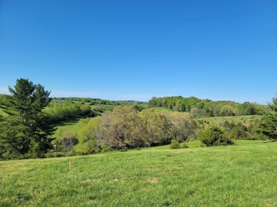 Offering # 4 -  Riner VA Building Lot for Sale at Auction - image 30