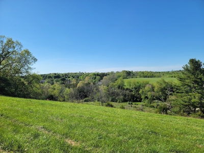 Offering # 4 -  Riner VA Building Lot for Sale at Auction - image 29