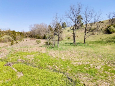 Offering # 4 -  Riner VA Building Lot for Sale at Auction - image 16