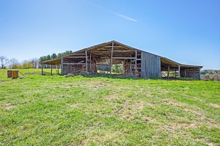 Offering # 4 -  Riner VA Building Lot for Sale at Auction - image 12