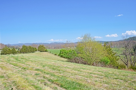 Offering # 4 -  Riner VA Building Lot for Sale at Auction - image 6