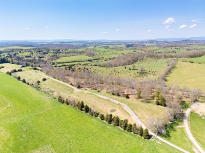 Offering # 4 -  Riner VA Building Lot for Sale at Auction - image 1