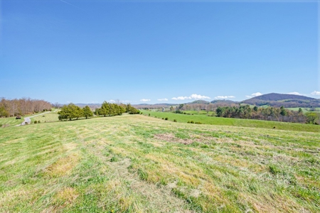 Offering # 4 -  Riner VA Building Lot for Sale at Auction - image 9
