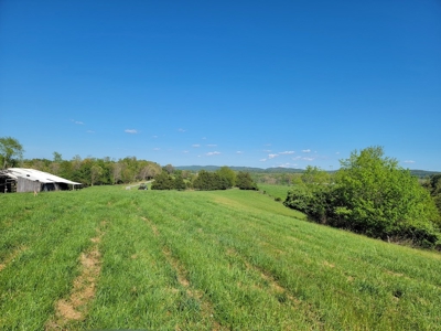 Offering # 4 -  Riner VA Building Lot for Sale at Auction - image 28