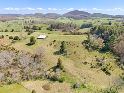 Offering # 4 -  Riner VA Building Lot for Sale at Auction - image 17