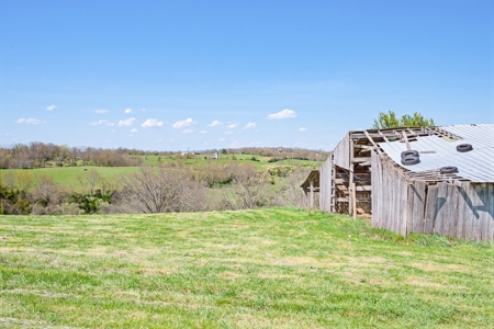 Offering # 4 -  Riner VA Building Lot for Sale at Auction - image 10