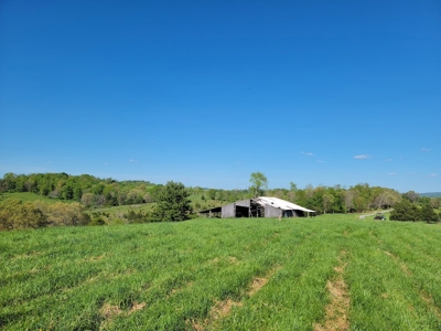 Offering # 4 -  Riner VA Building Lot for Sale at Auction - image 26