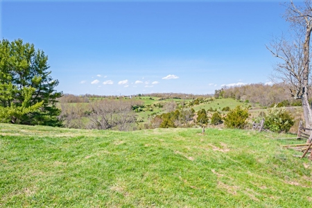 Offering # 4 -  Riner VA Building Lot for Sale at Auction - image 13